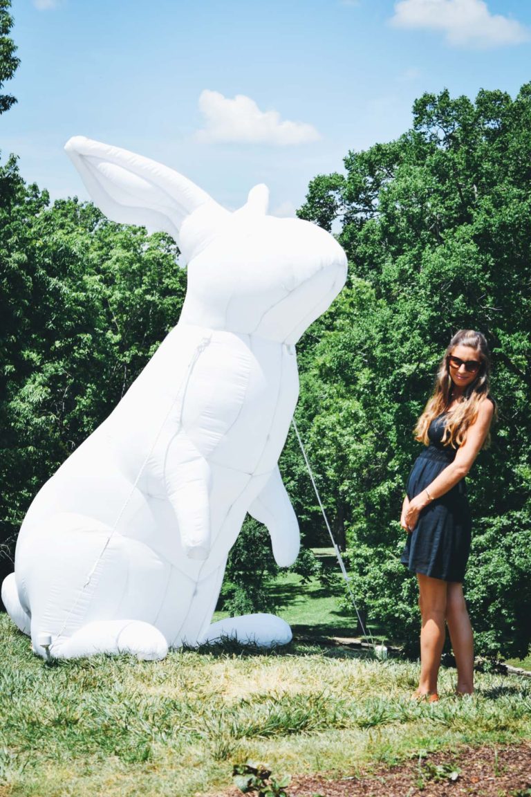 so many BUNNIES! | the intrude installation at cheekwood ...